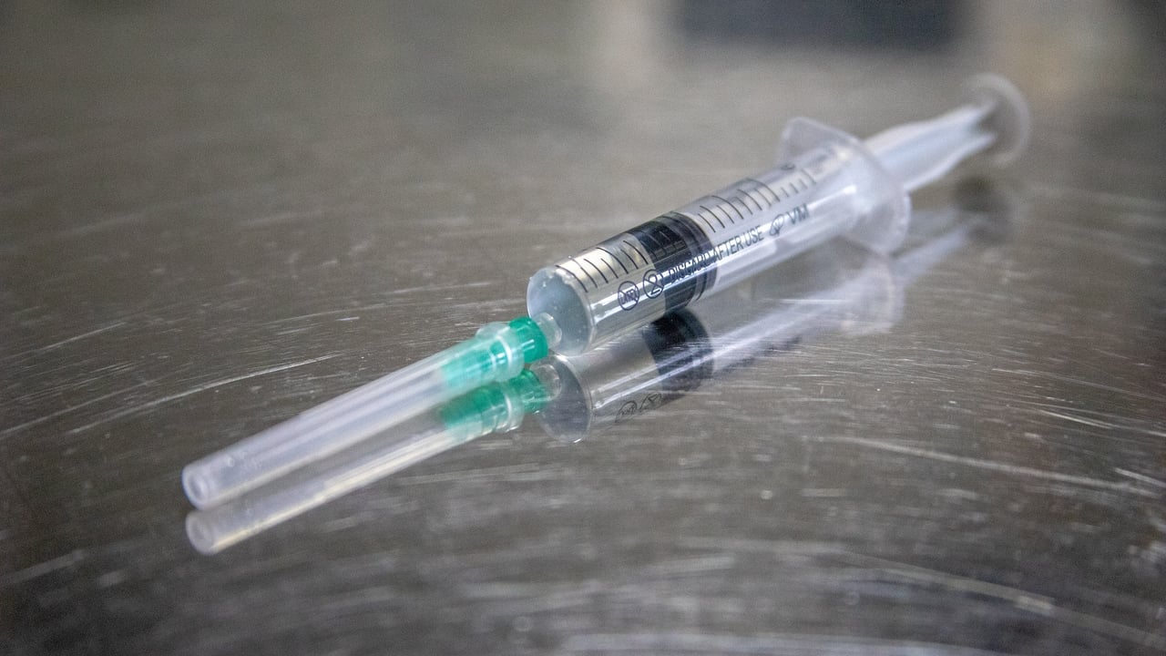 Injectable medicines for dogs and horses seized in Belfast