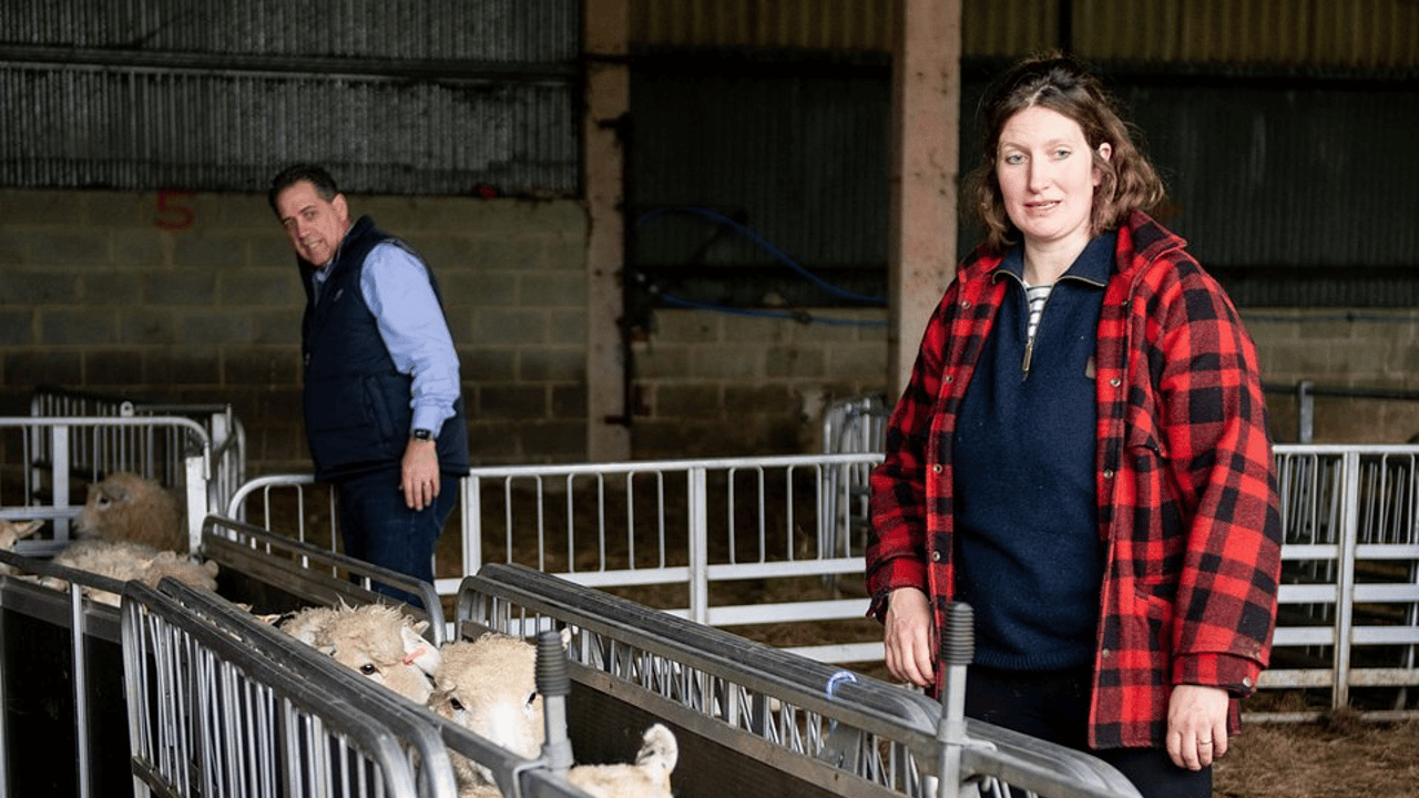 Clipex Fencing presents sheep shearer with ‘All in One Sheep Handler’