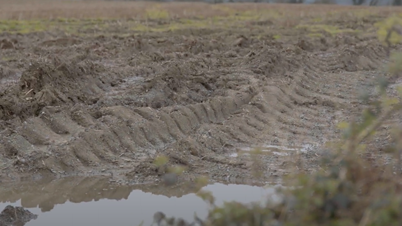Research: Arable farmers could lose ‘nearly’ £1 billion