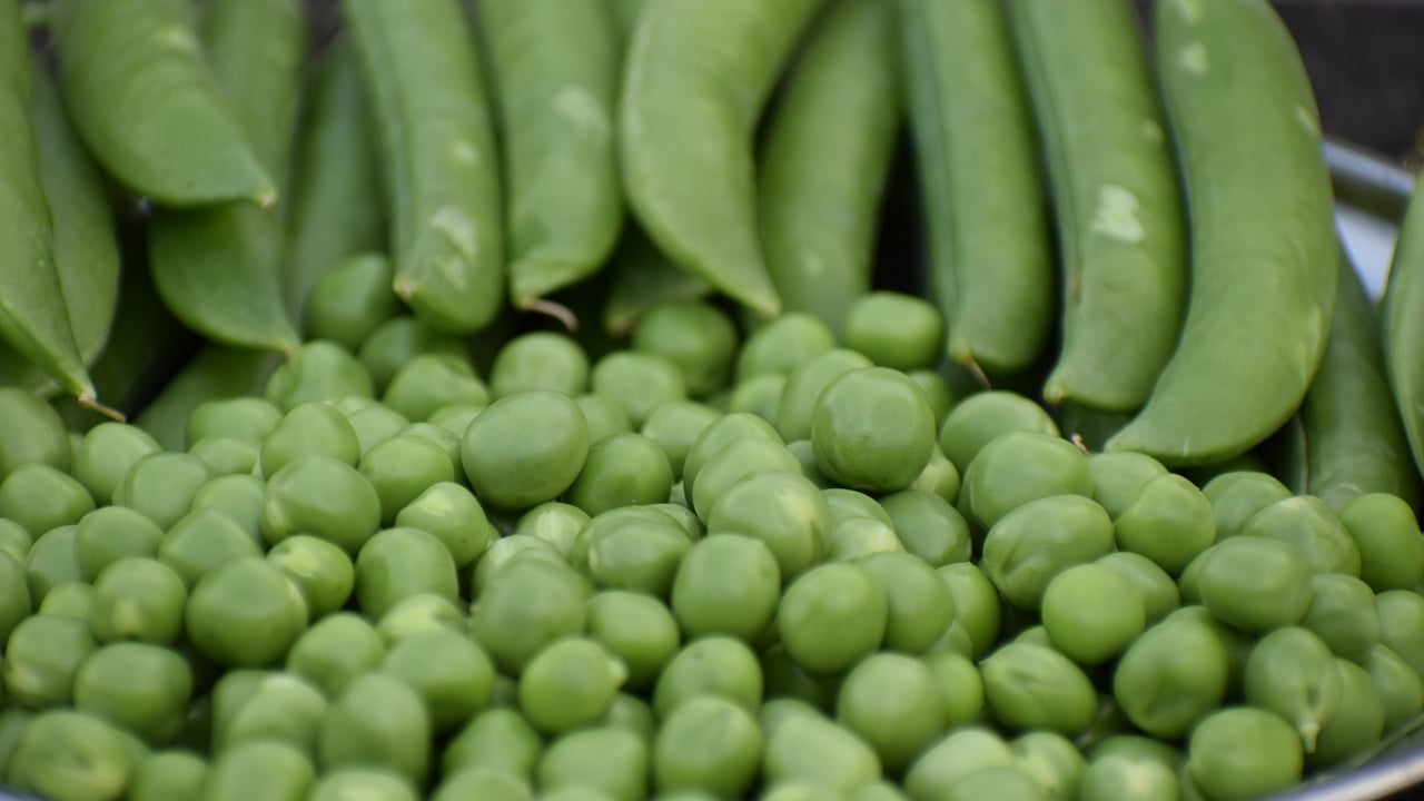 Great British Pea Week to return for a ninth year