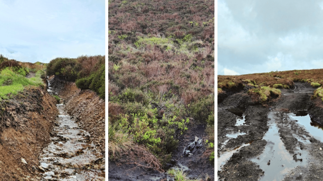 Wales: ‘Severe damage’ caused by off-road vehicles in Wrexham