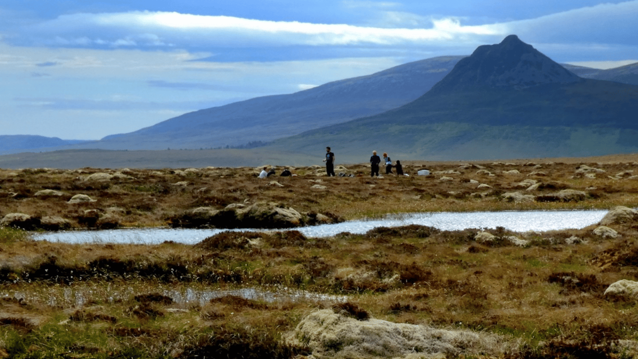 Flow Country becomes world’s first peatland UNESCO World Heritage site