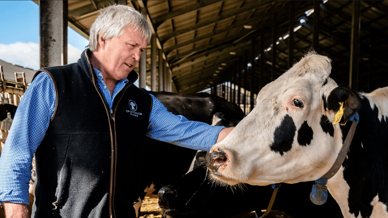 Supermarket groups back feed trials to cut methane emissions from UK farms