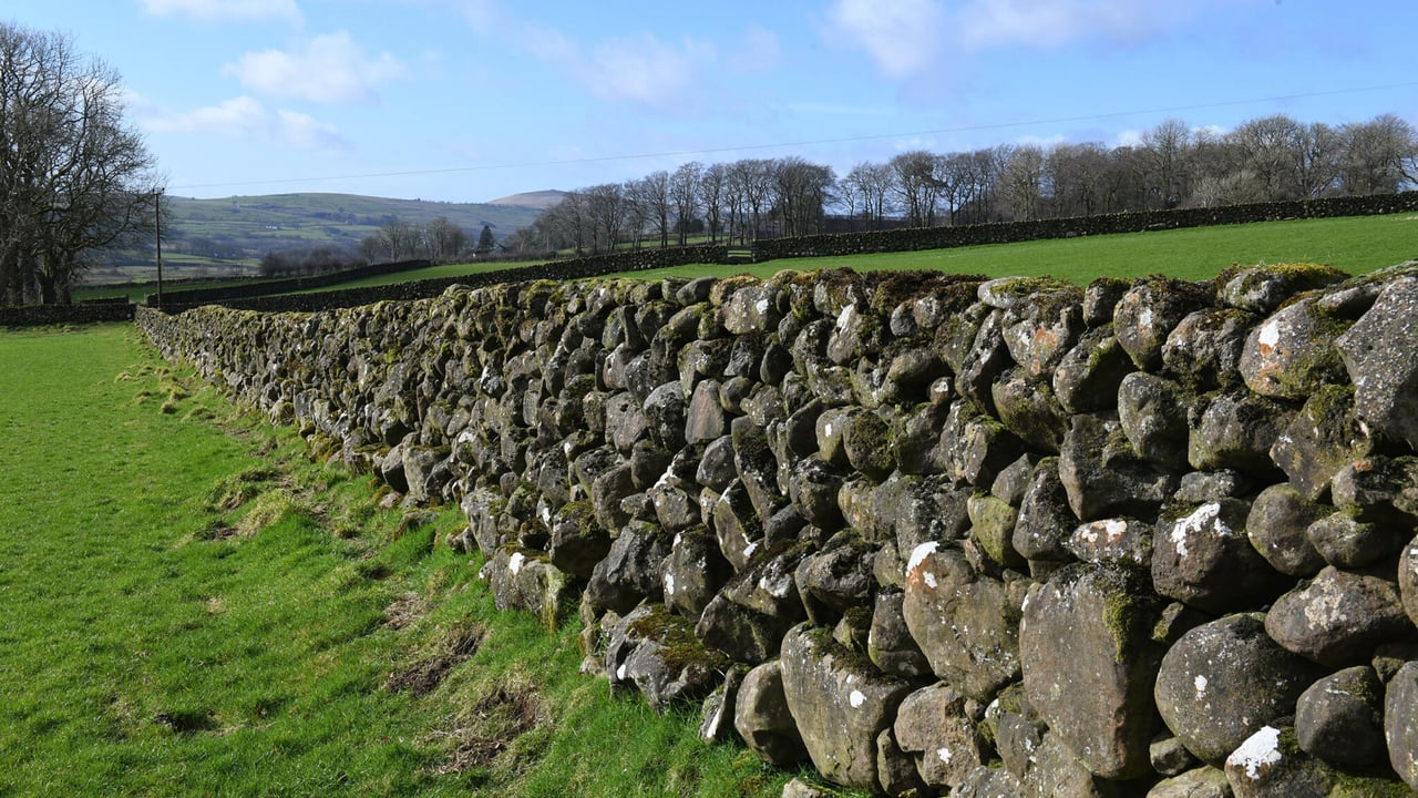 CAFRE to host free dry stone walling training courses