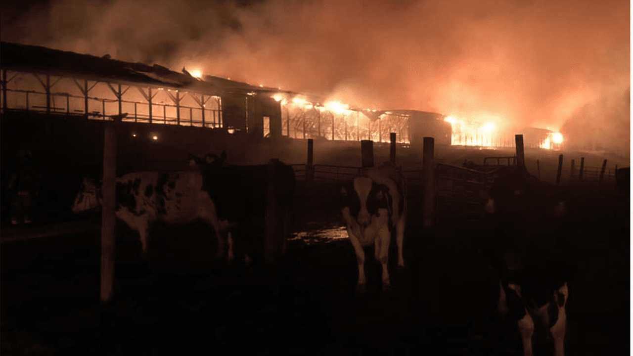 13-year-old girl charged with barn fire in Scottish Highlands
