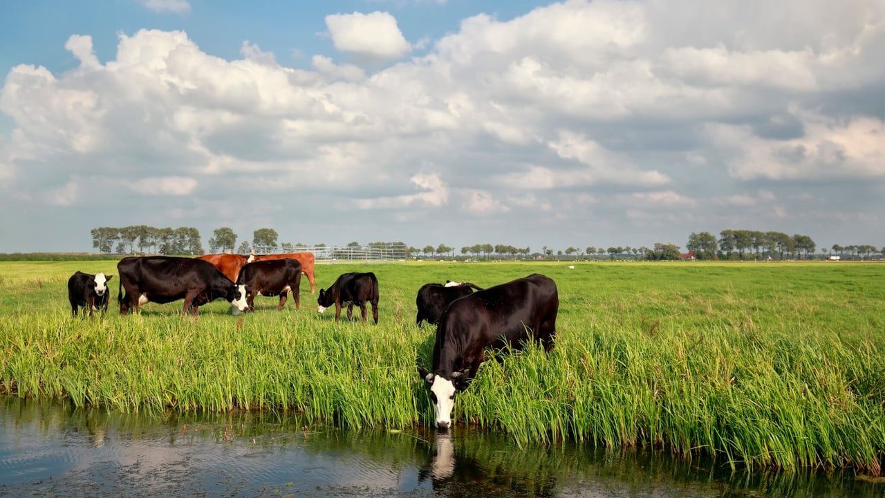 NFU secures 150 water abstraction licences for farmers in England