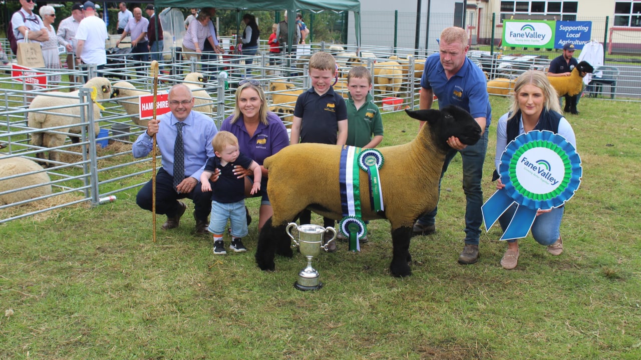 Young Simmental bull carries the day at Clogher Valley Show 2024