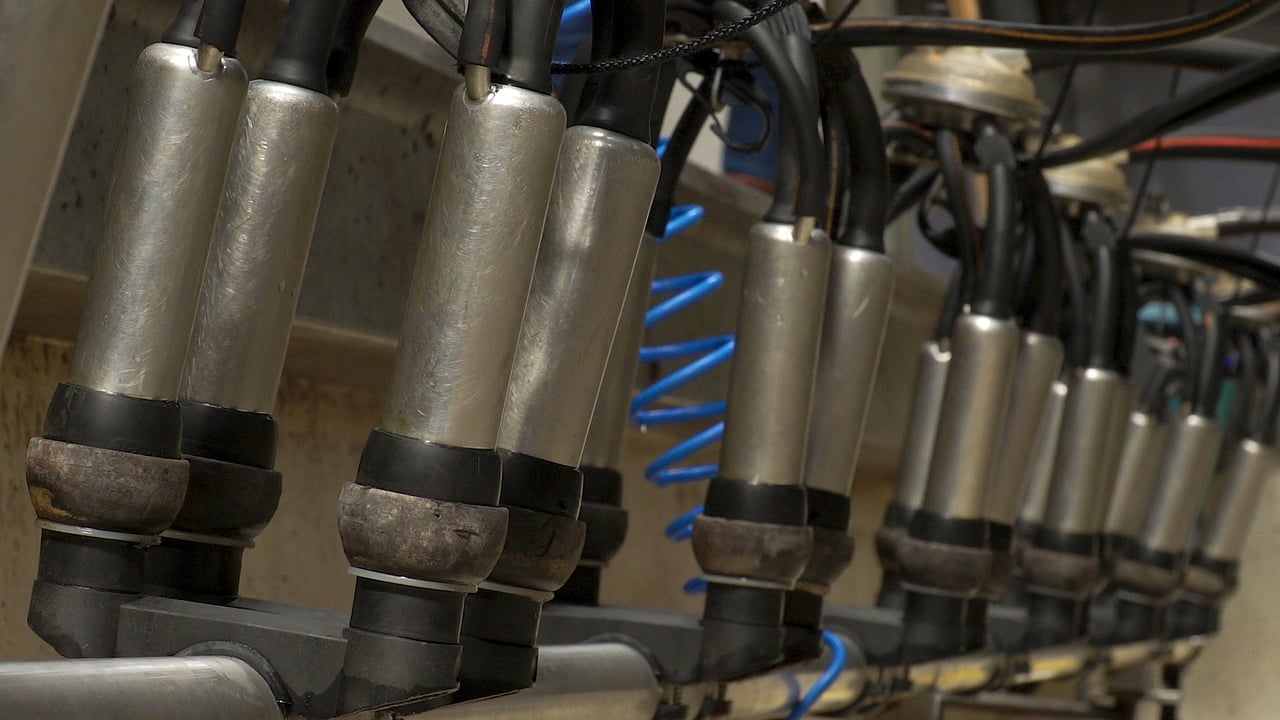 Making sure your milking machine is operating to scratch