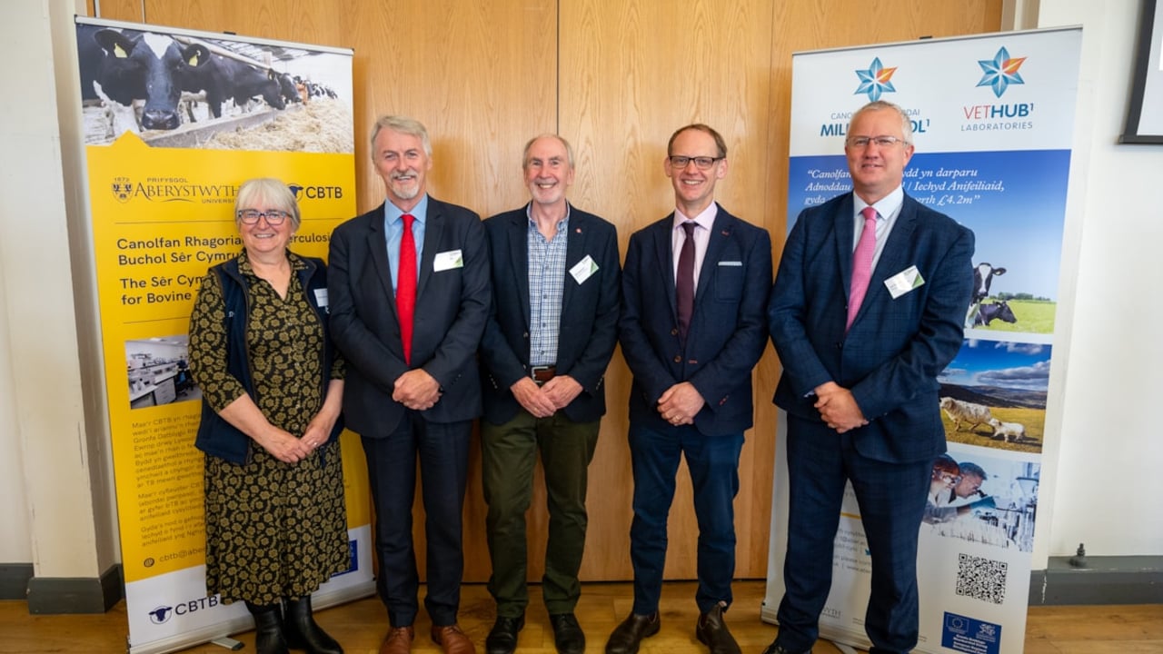 Bovine TB programme board members announced