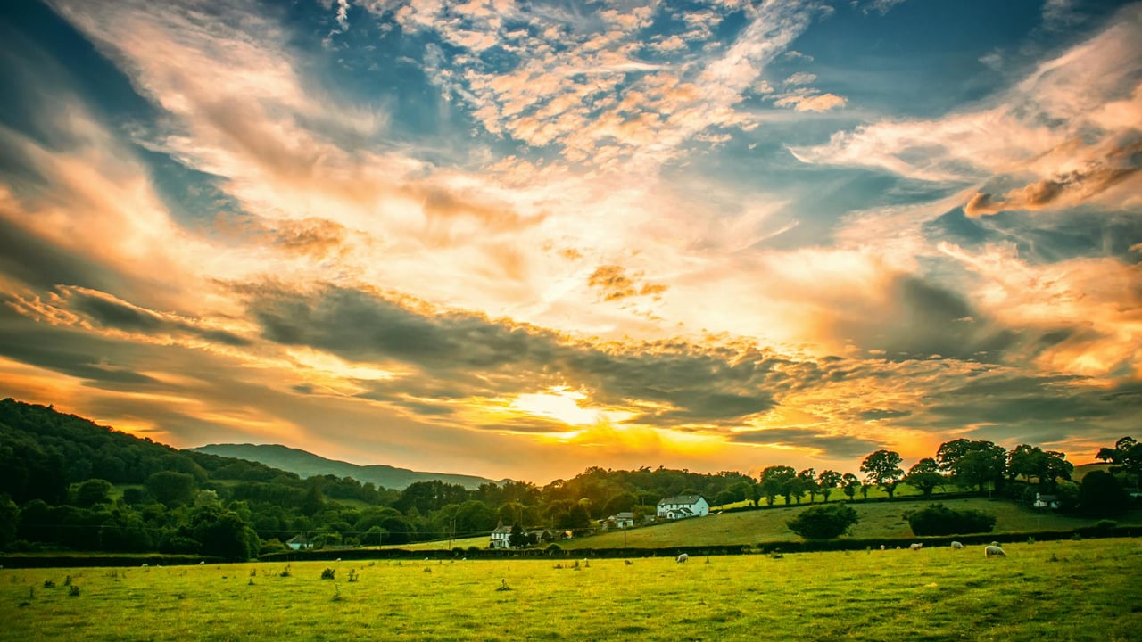 Countryside Stewardship Mid Tier scheme set to be extended – NFU