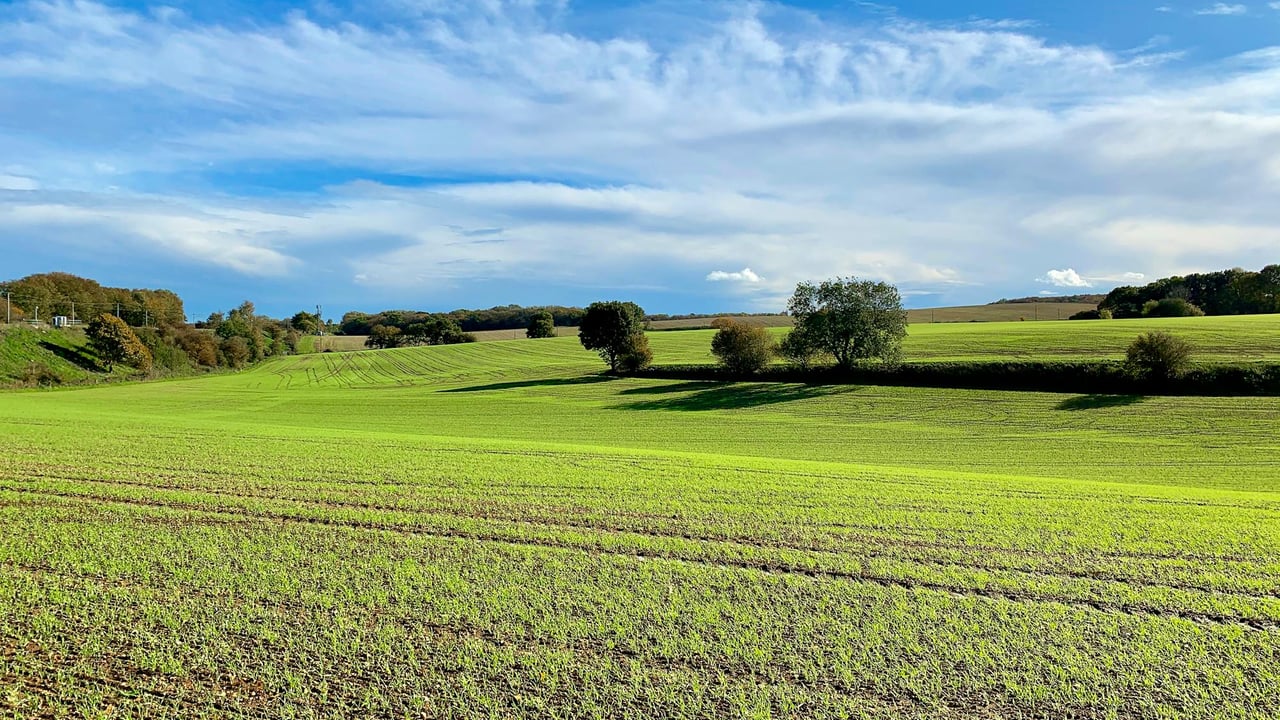 Campaigners want Govt to ‘undo damage done to pesticide standards’
