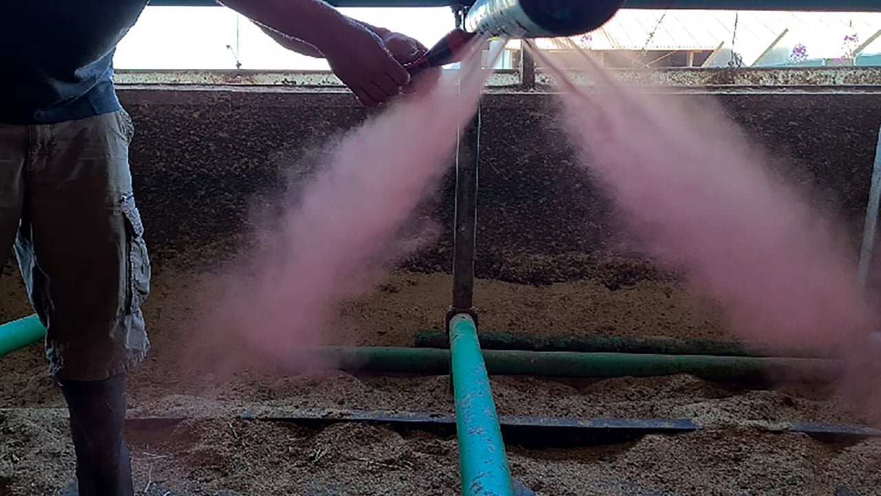 EuroTier launchpad for new technology to help dairy farmers