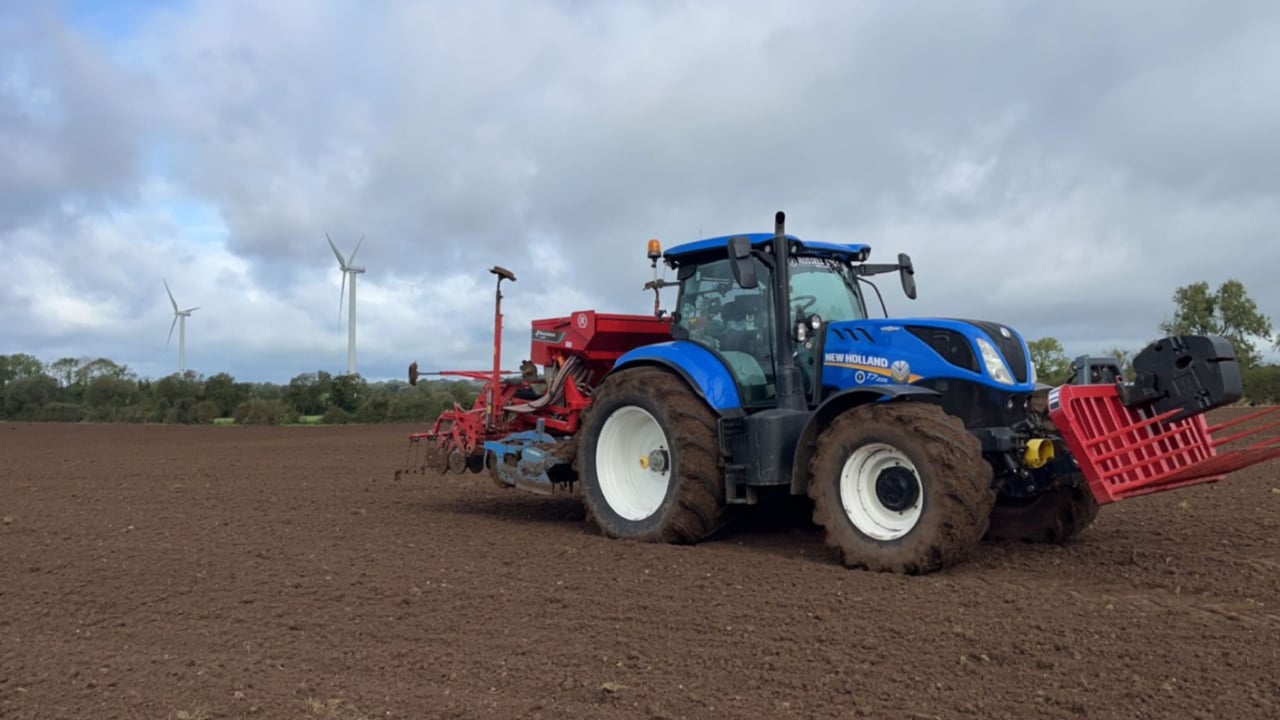 Autumn crop establishment – there is no room for error