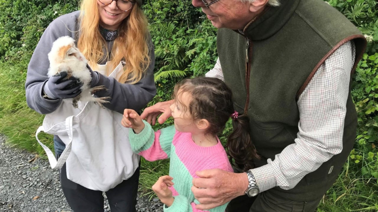 NI farmer and owl conservationist slams ‘ludicrous’ EFS