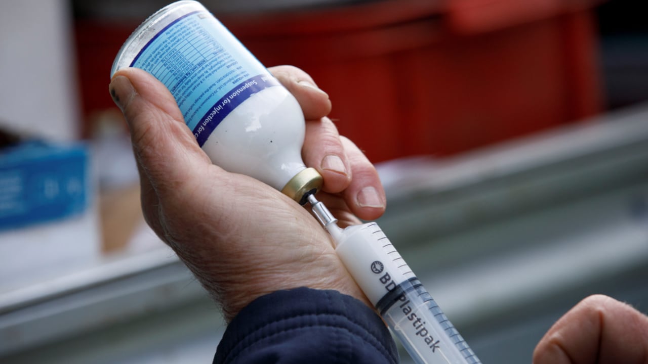 New BVA report to help vets become more sustainable