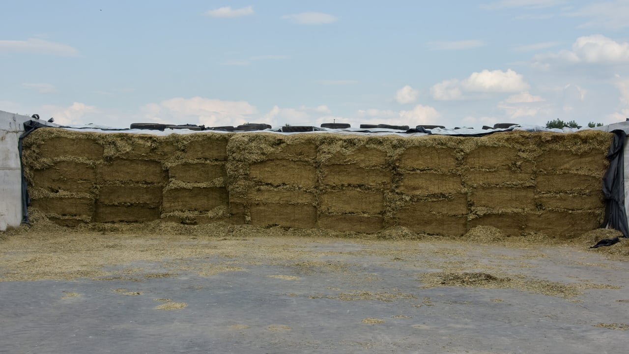 Minimising waste from your silage pit this winter
