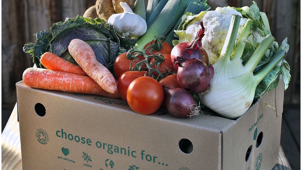 Environmental groups call for more organic farms in England