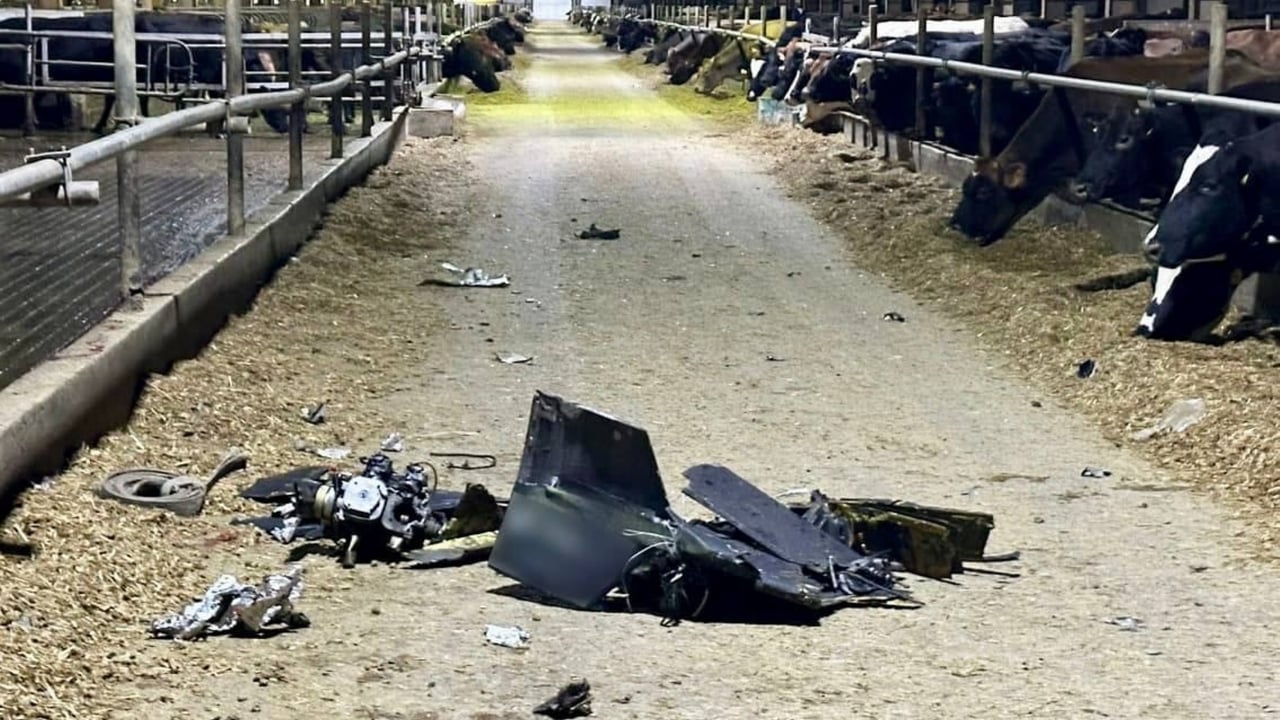 Ukraine dairy sector still investing despite Russian missiles