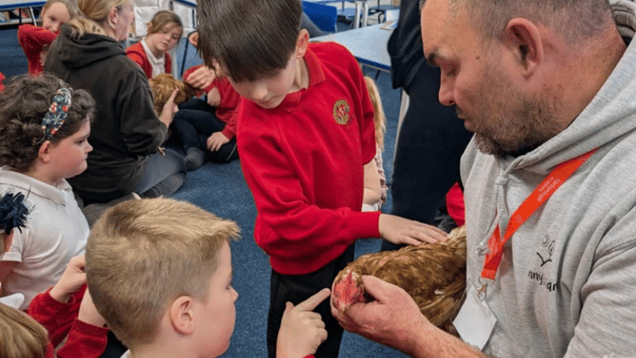 Pet farm renews calls to crowdsource £40,000 to save it
