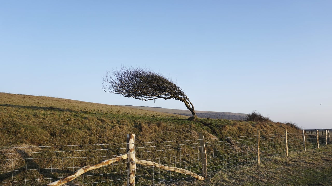 Status Yellow weather warning issued for the north