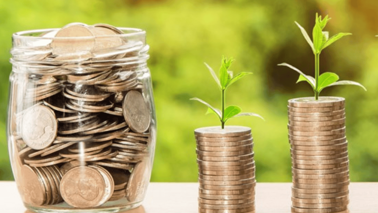 Open letter calls for basic income for agricultural workers