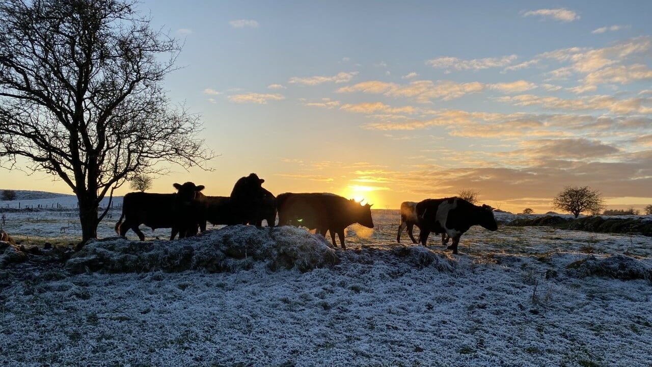 Weekend weather: Sleet, ice and snow as freeze sets in