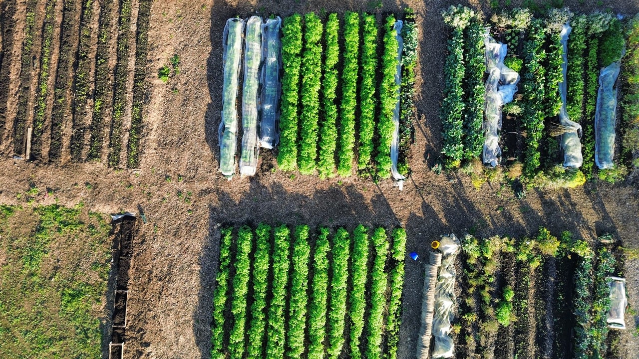 RAU teaching farm to become fully regenerative