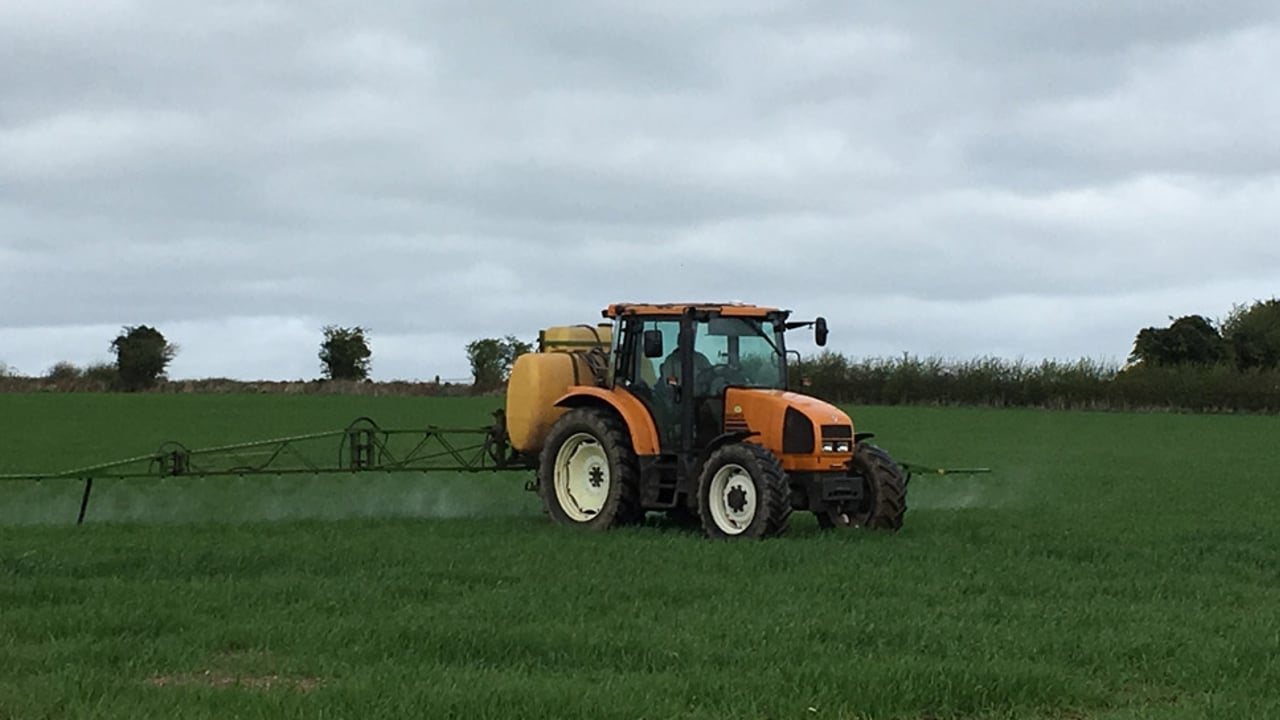 Best-practice cereal management tips – for the month of May