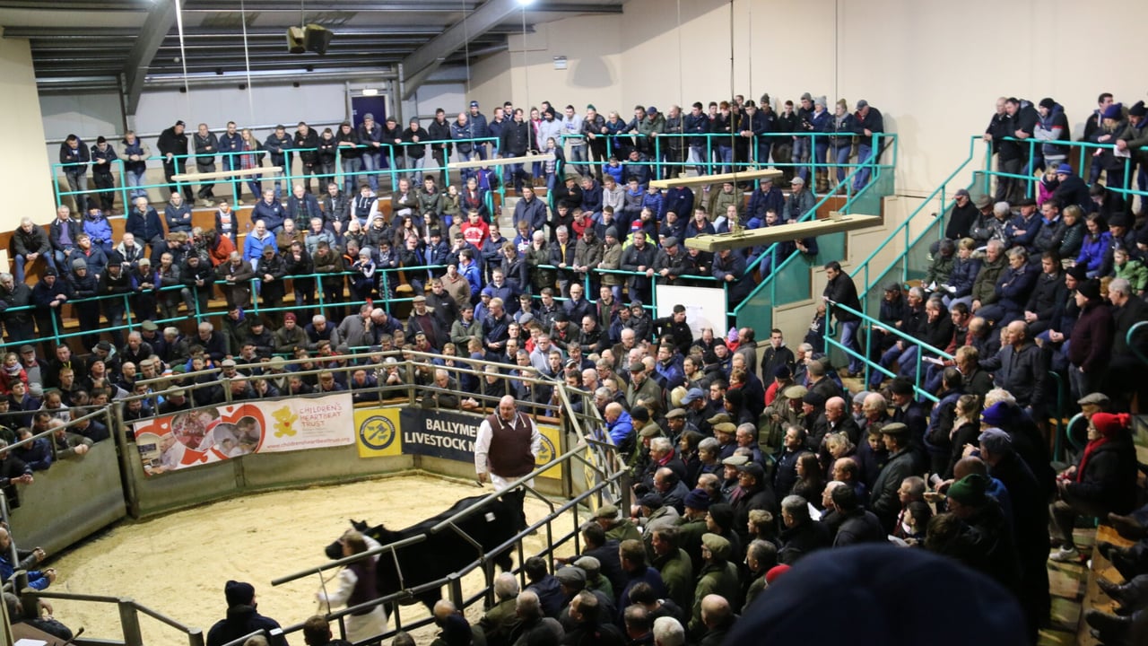 Charity livestock auctions reach just shy of £100,000 target