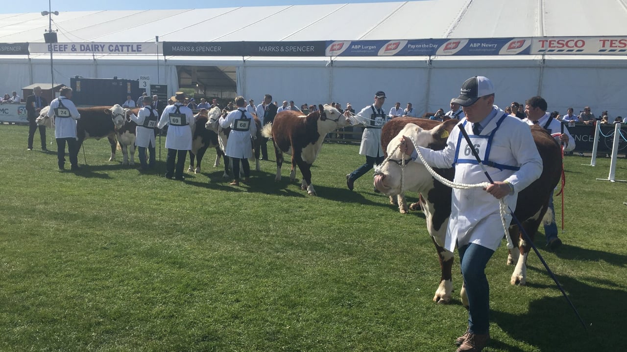 Video: Watch the first day at Balmoral Show 2017