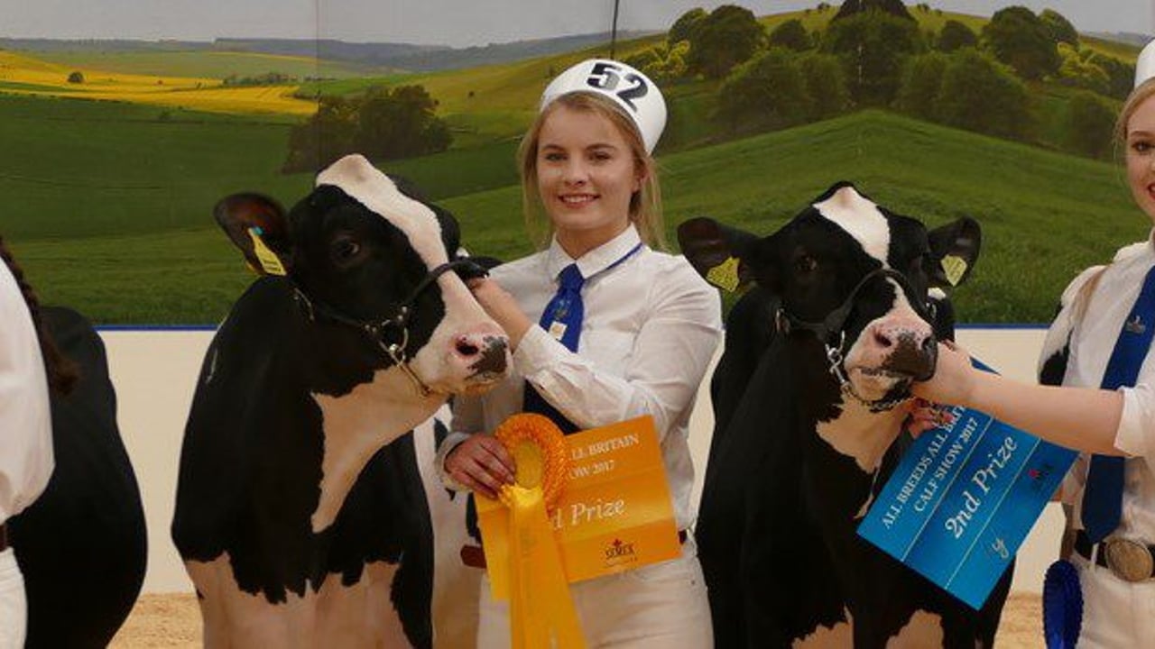 Northern Ireland Holstein breeders manage impressive All-Britain campaign