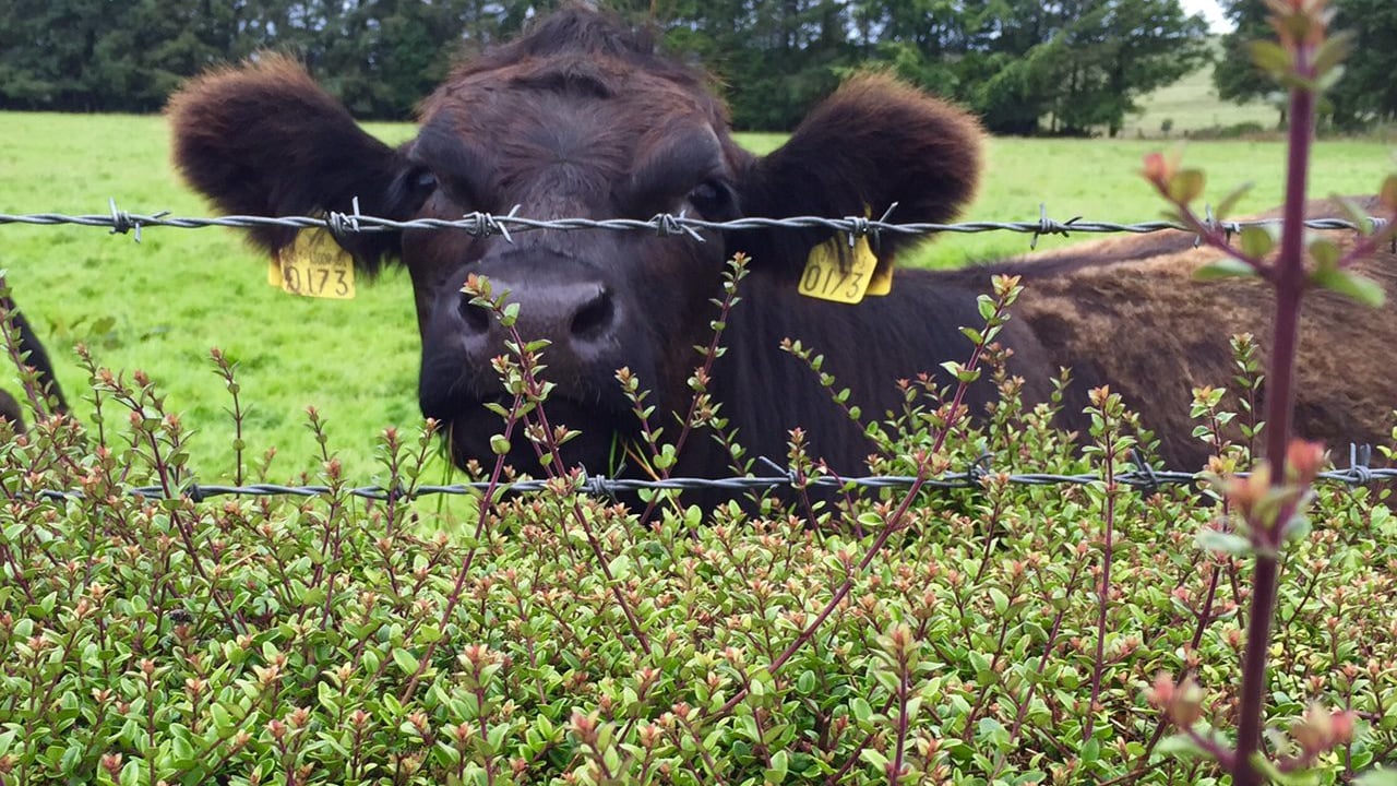 2 weeks left for farmers to apply for NI Environmental Farming Scheme