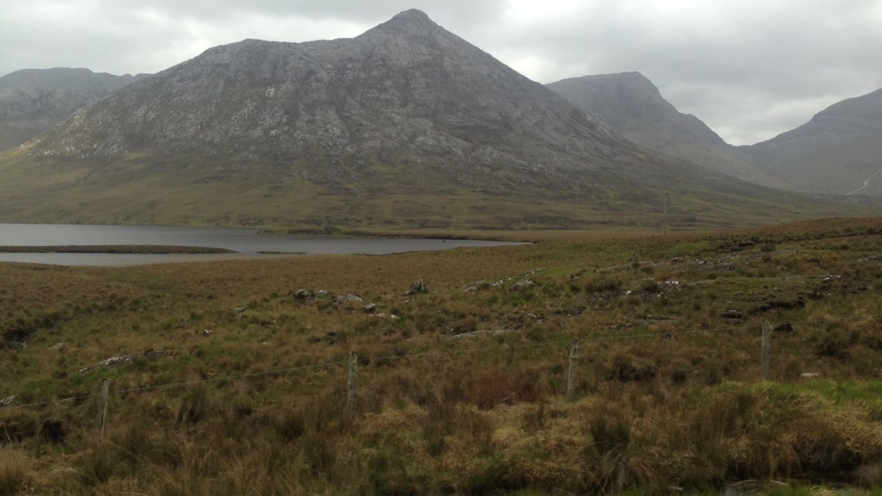 Landowner fined for damaging protected habitat