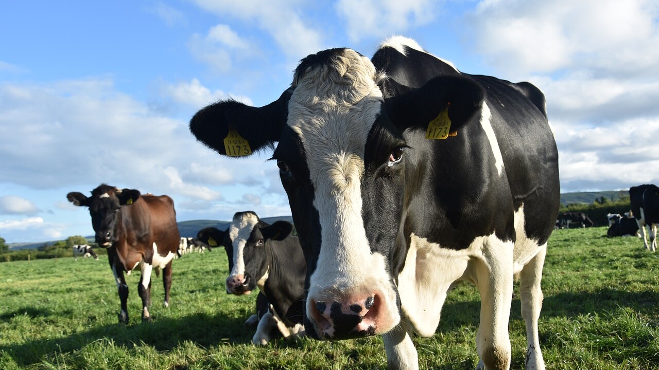 Industries support new BVD code of practice