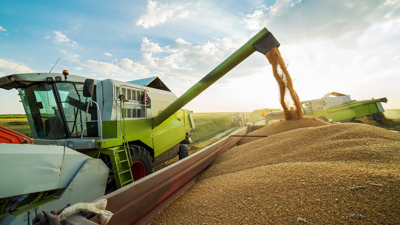 Date for the diary: CAFRE arable conference to focus on soils