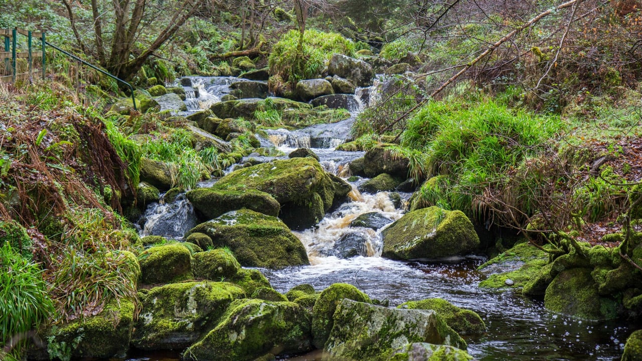 Nearly €21m allocated to cross-border water quality projects