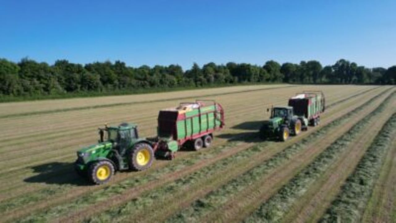 How to achieve a 75-80% DMD silage for your winter milking herd