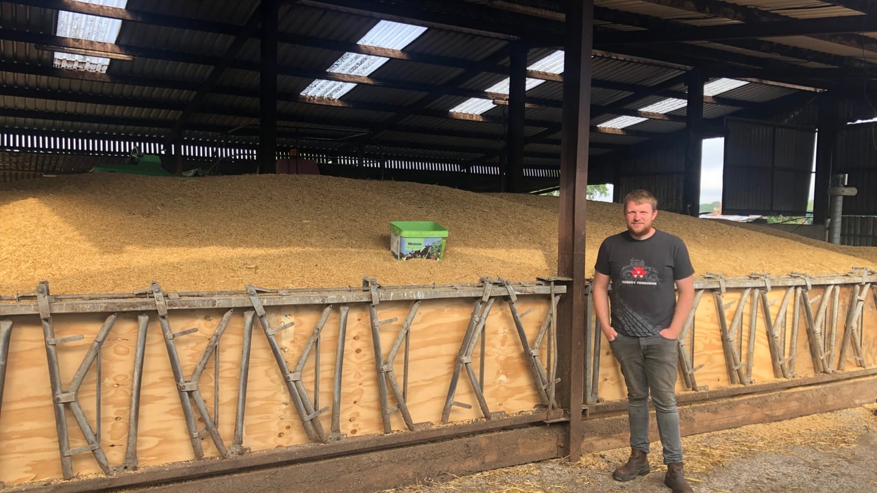 Watch: Farmer Phil’s calves jump for joy with space hoppers