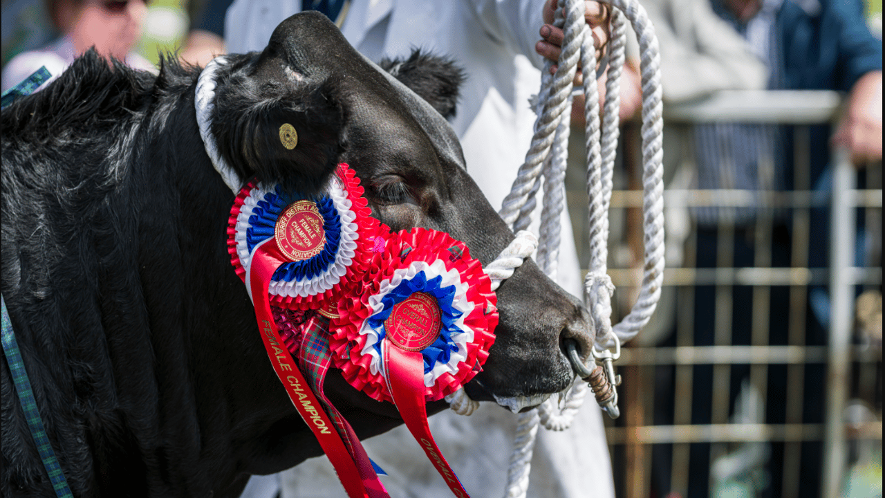 Countdown is on to major Scottish agricultural event