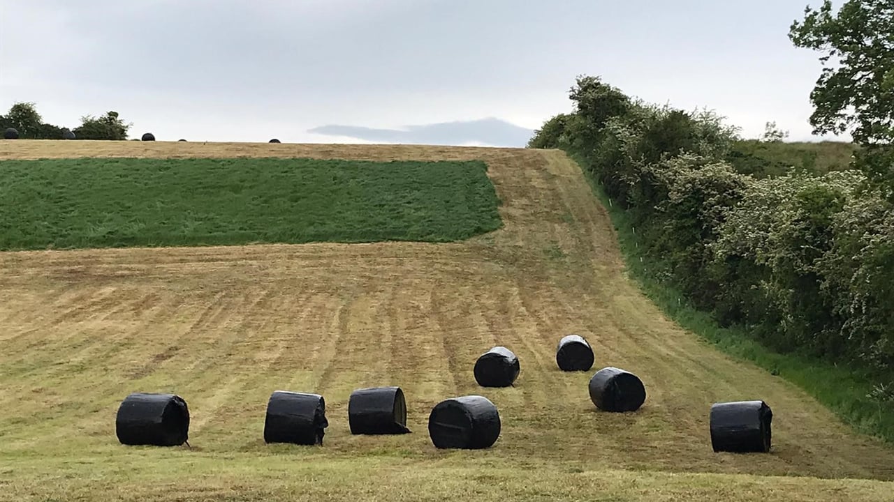 Cutting surplus paddocks – what comes off must be replaced