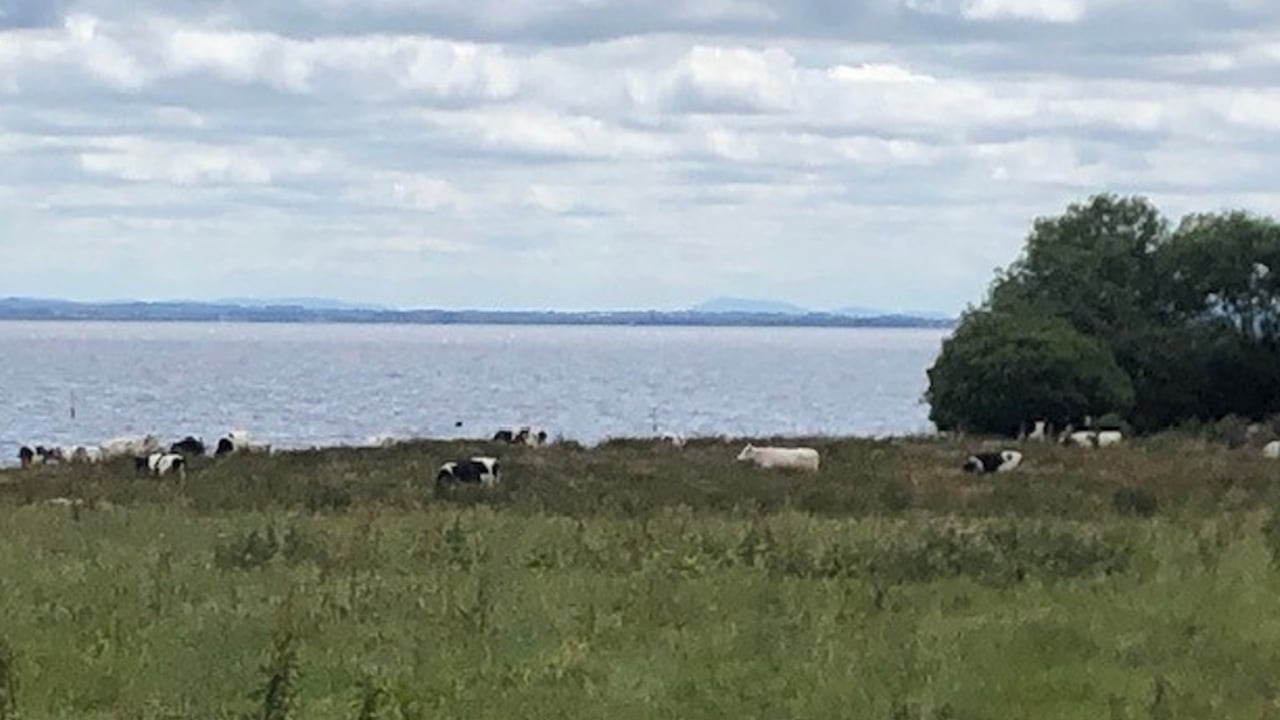 Farmers’ concerns prompt extension to consultation in NI on NAP