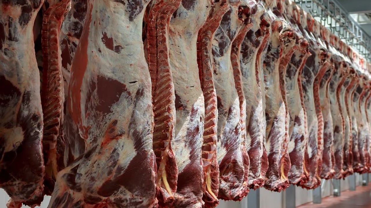 2025 UK beef production down 10,000t to date