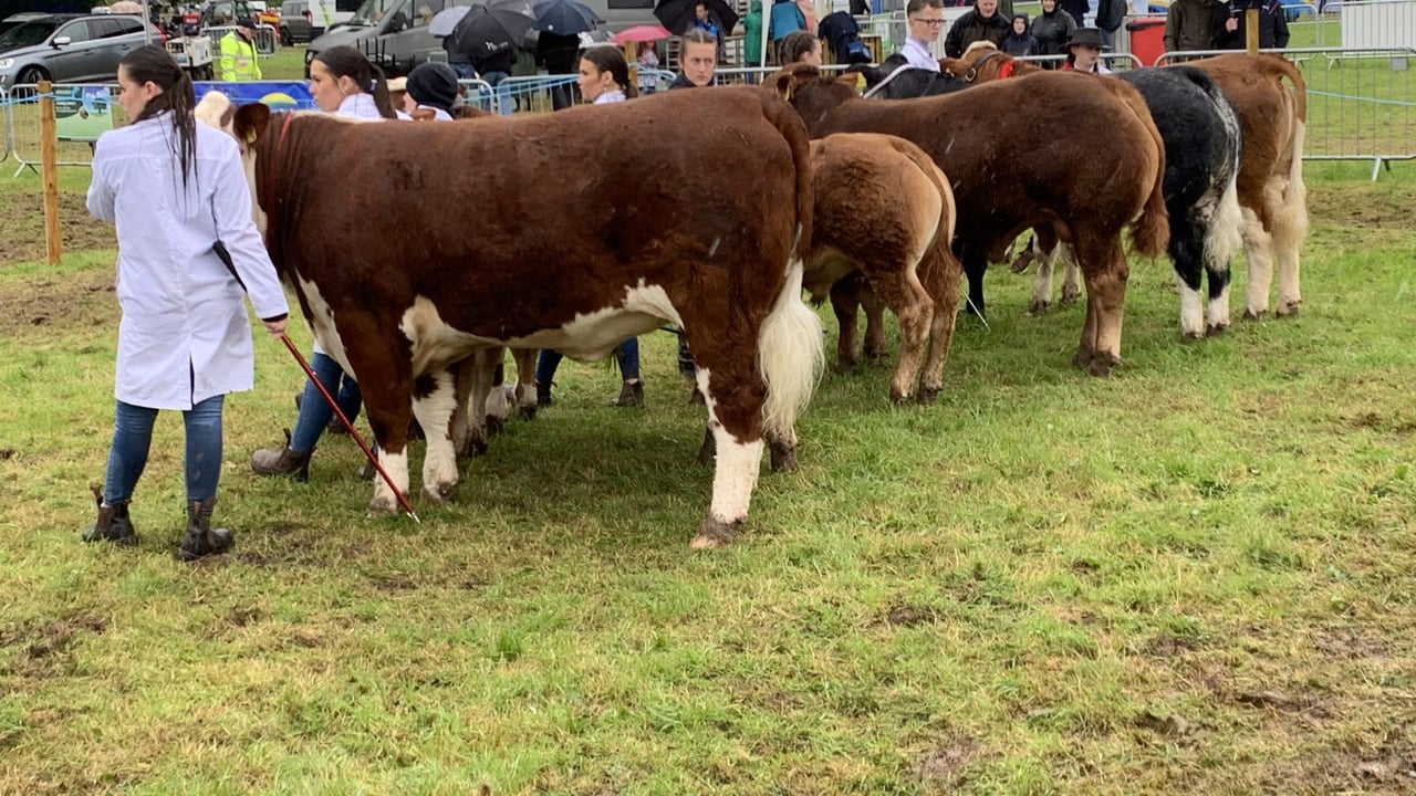 Three is a lucky number for some at Armagh Show 2025