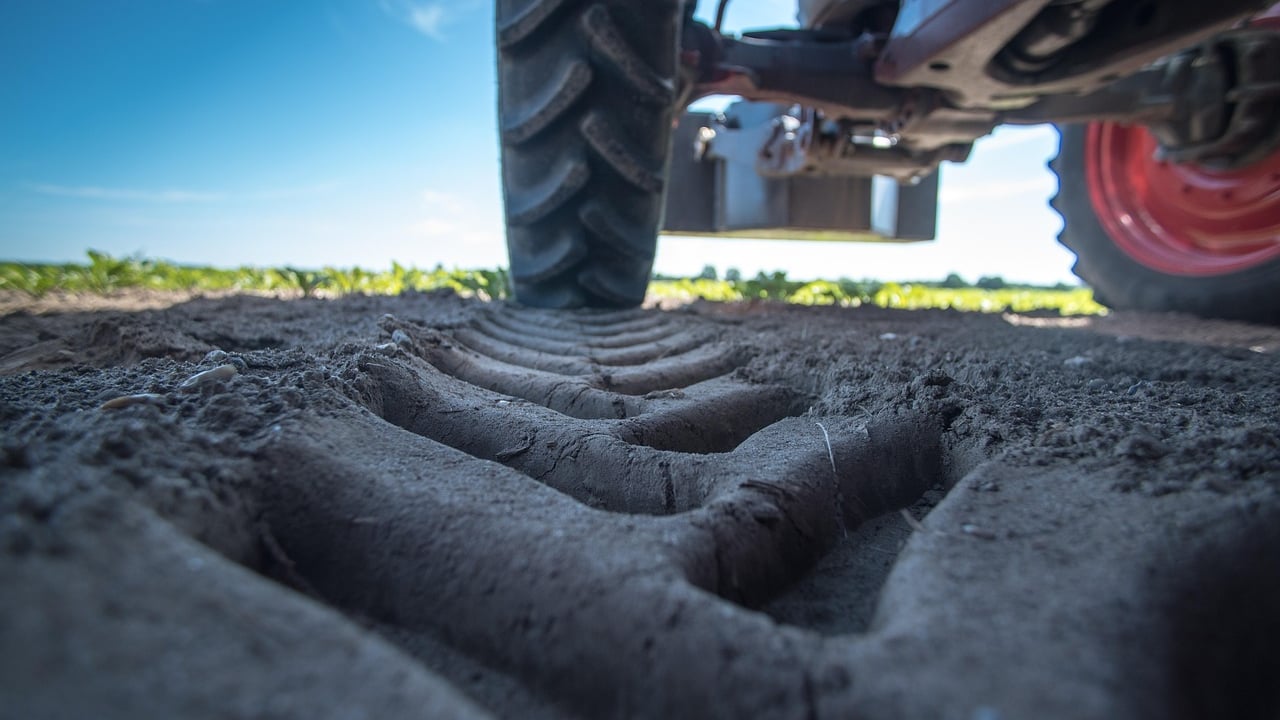Defra does not ‘intend to subsidise regenerative agriculture’