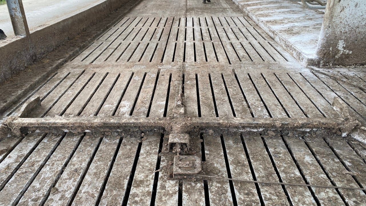 Environment Agency: Farmers should prepare winter slurry storage