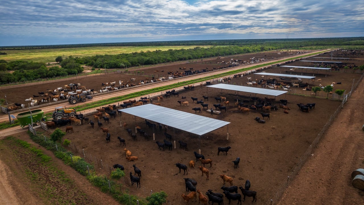 Huge beef farm in Paraguay with low production costs hits the market