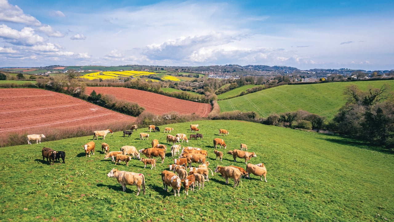 UK agri-food charity body aims to ‘unlock potential’ with new strategy