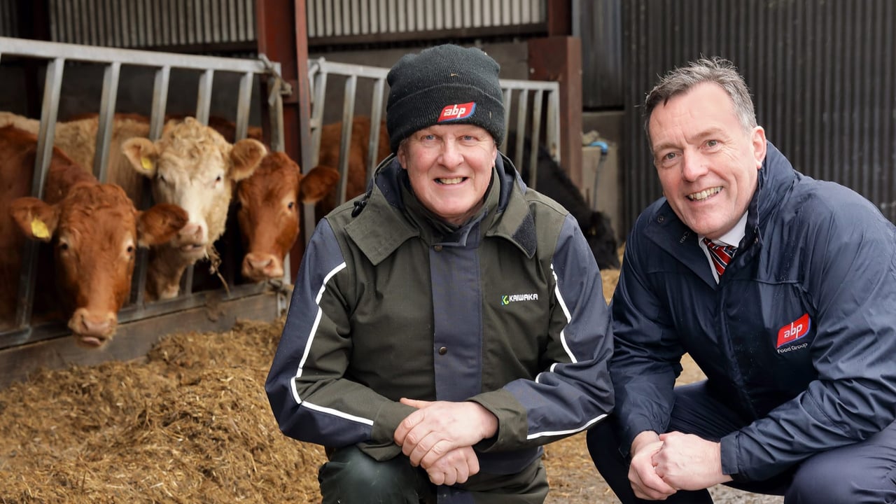 Update from ABP’s UK red meat sustainability programme