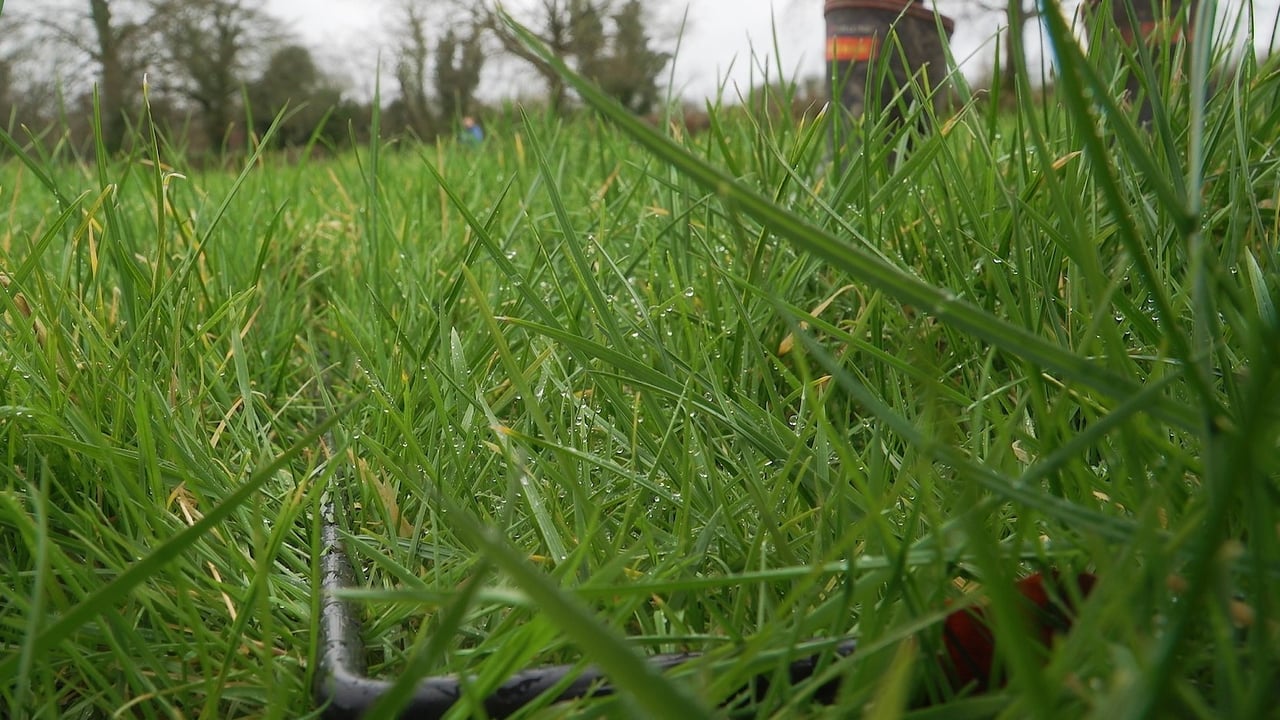 AgriSearch seeks farmers for next phase of grasscheck programme