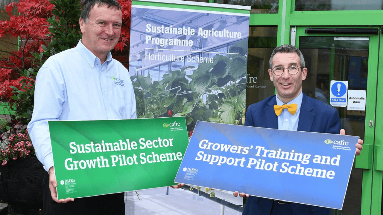 DAERA encourages growers to apply for NI Horticulture Pilot Scheme